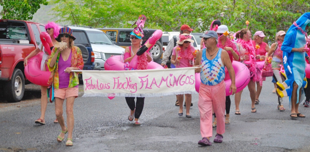 The Fabulous Flocking Flamingos parade through Coral Bay for Monday's community Labor Day parade.