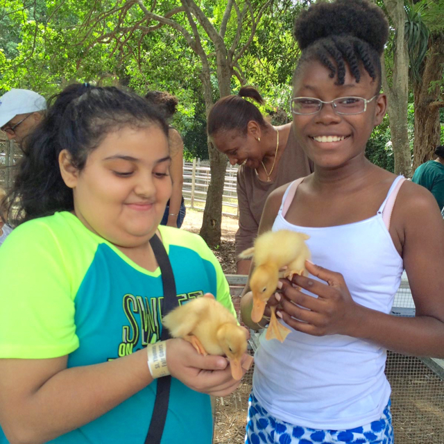 Donya Mustafa and Chenayah Thomas cuddle baby ducks at the petting zoo.