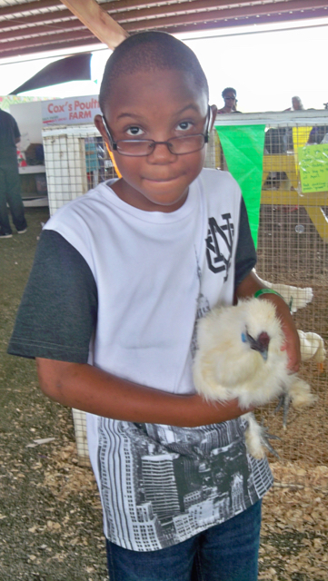 Kaiden Ferris holds a fluffy legged chicken.