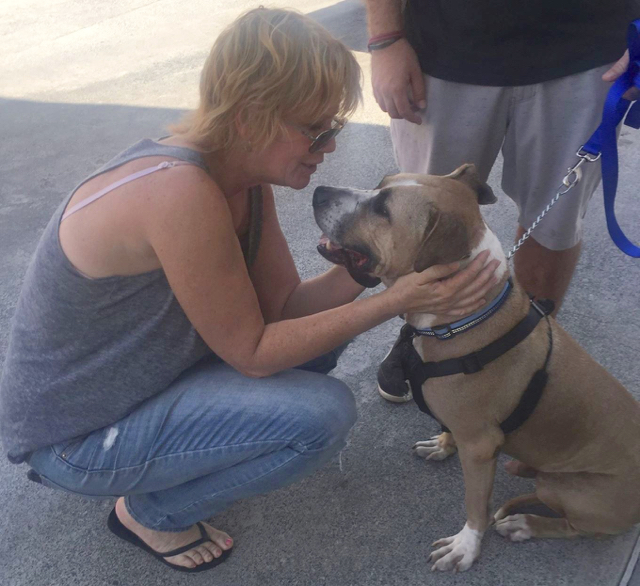 Volunteer Laurie Damron says goodbye to Moose. (Photo providede by Laurie Damron)