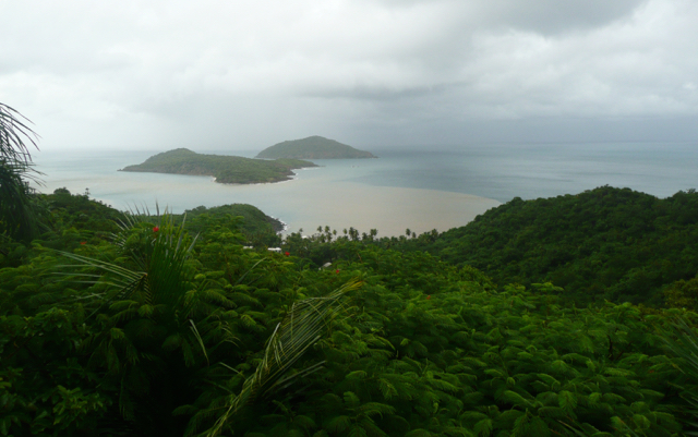 Residents on the north side of St. Thomas report seeing runoff plumes after every heavy rain. (Photo by Alana Mawson)