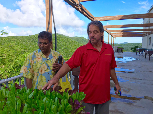 Harith Wickrema, left, looks on as Dave Minner of the Gifft Hill School points out gardening techniques.