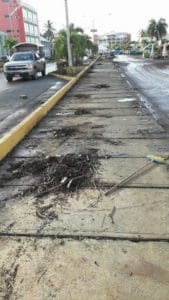 After storm cleanup on Tortola (BVI government photo)