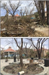 Before and After: Cruz Bay Park Monday, and Wednesday after an intensive cleanup. (Amy Roberts Photos)