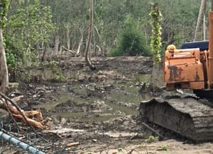 An excavator within feet of protected monagroves.