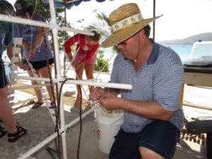 Tourists visiting St. Thomas volunteer to fashion coral 'trees' out of PVC. They will be planted in deep waters as part of a restoration project. (Photo provided by VI-EPSCoR)