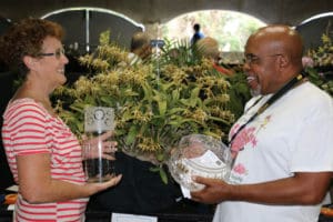 Grand Champion of the Show, awarded for the most outstanding orchid in the show, won by exhibitor Luther Edwards and grown by Jan McBean, is the Epidendrum ciliare. This plant is often called the St. Croix Christmas orchid. According to Edwards, until Hurricane Hugo, it could be found growing wild in the rainforest but now is cultivated by growers. This specimen was blown 25 to 30 yards away during Maria, but has recovered to become the champ. (Linda Morland photo)