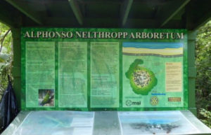 The Nelthropp kiosk is remarkably undamaged by hurricanes. (sap photo)