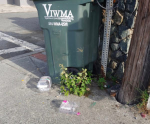 Plastic waste litters the streets of the islands. (Source photo)