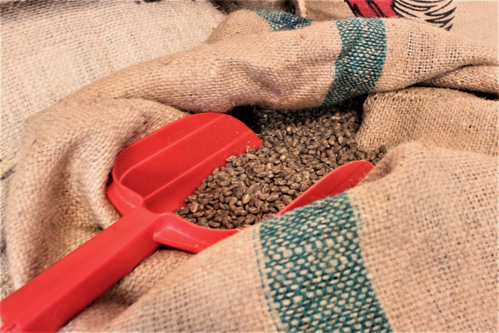A burlap bag contains single sourced, green coffee beans that are imported from Sumatra, an island off Indonesia.