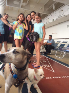 Children cluster around Ellie Cicero’s dogs on board the mercy ship from St. Croix to Miami after Hurricane Maria. (Photo submitted by Ellie Cicero)