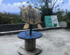 A turtle sculpture in its original state, carved and assembled by Chris Lima, for HeArt of the Turtle project. (Photo by Glenda Smith)