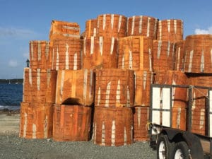Foam blocks from Limetree pipeline installation. (Source photo by Susan Ellis)