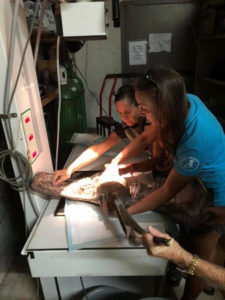 Dr. Michelle Mehalick and Sue Brown hold a wounded pelican steady for an X-ray at the St. Croix Animal Welfare Center. (Photo from Facebook)