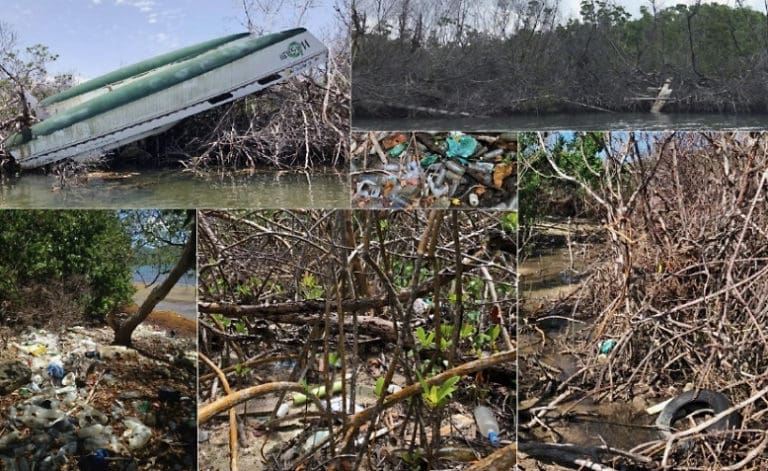 Volunteers to Gather April 18 for St. Thomas Great Mangrove Cleanup 2026