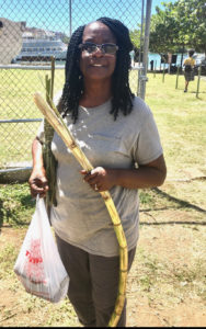 Lucia Francis brings home a stalk of sugar cane. (Source photo by Amy Roberts)