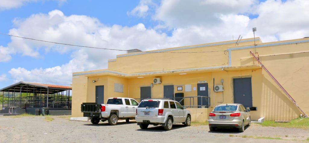 The St. Croix abattoir and livestock pens. (Source photo by Linda Morland)