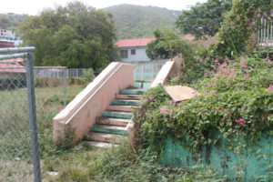 The steps leading down into the Savan Playground and Park are overgrown and in disrepair. (Source photo Bethaney Lee)