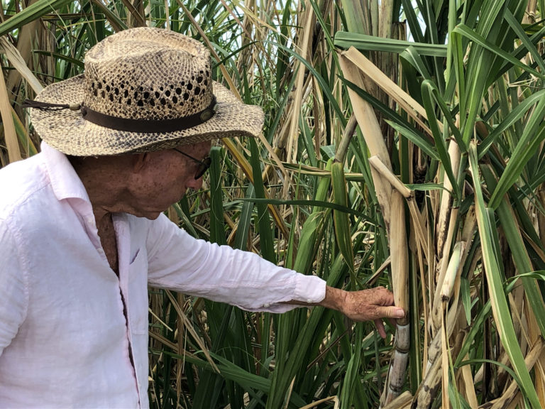 Open Forum: On Raising Cane, A Lost Opportunity