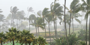 hurricane storm, weather, tropical weather,
