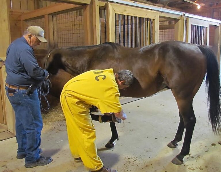 Brighter Futures Ahead for Inmates and Horses