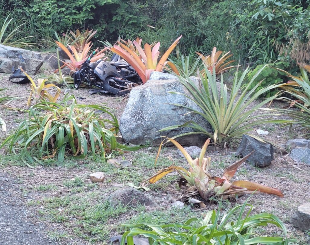 Vincent Henley, 59, died Sunday on St. Thomas when he lost control of his motor scooter as he left Magens Bay and hit a rock on the side of the road. (VIPD photo)