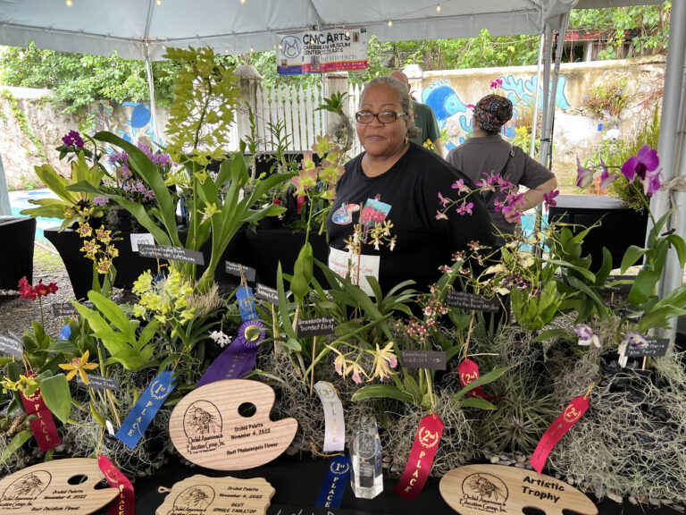 Orchid Awareness & Education Group Inc. Holds Orchid Palette Show and Sale