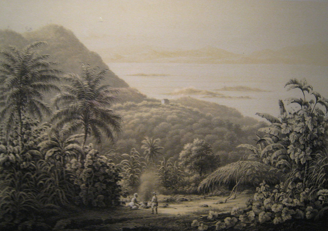 This 1850 printing showed St. John rough landscape. Mamey Peak on St. John, one of the highest peaks on the island of 1,164 feet above sea level named derived from our naïve fruit Mammey Apple. (Image courtesy Olasee Davis)