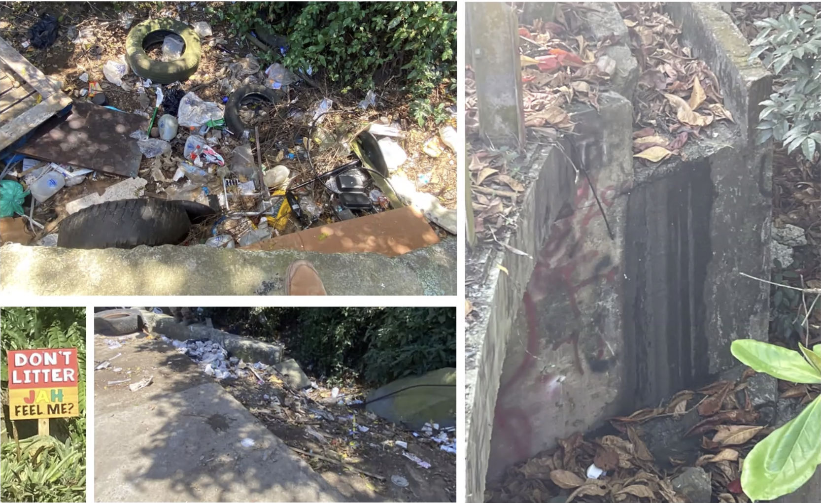 Garbage, whether from poorly managed bin sites or illegal dumping, and debris create stresses on the watershed. (Screenshot from Zoom meeting)