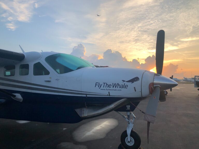 Fly The Whale: An Airline With a Passion for the USVI Community