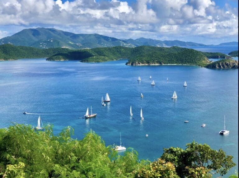 Coastal Water Testing: Coral Harbor Safe for Human Contact