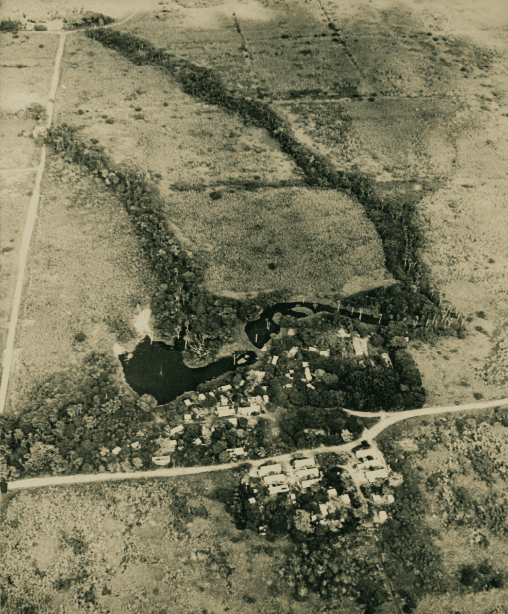 You can see the sugarcane fields, abandoned since the mid 1960s, in this aerial view of the site that was part of a proposed zoo park for St. Croix. (Image courtesy Olasee Davis)