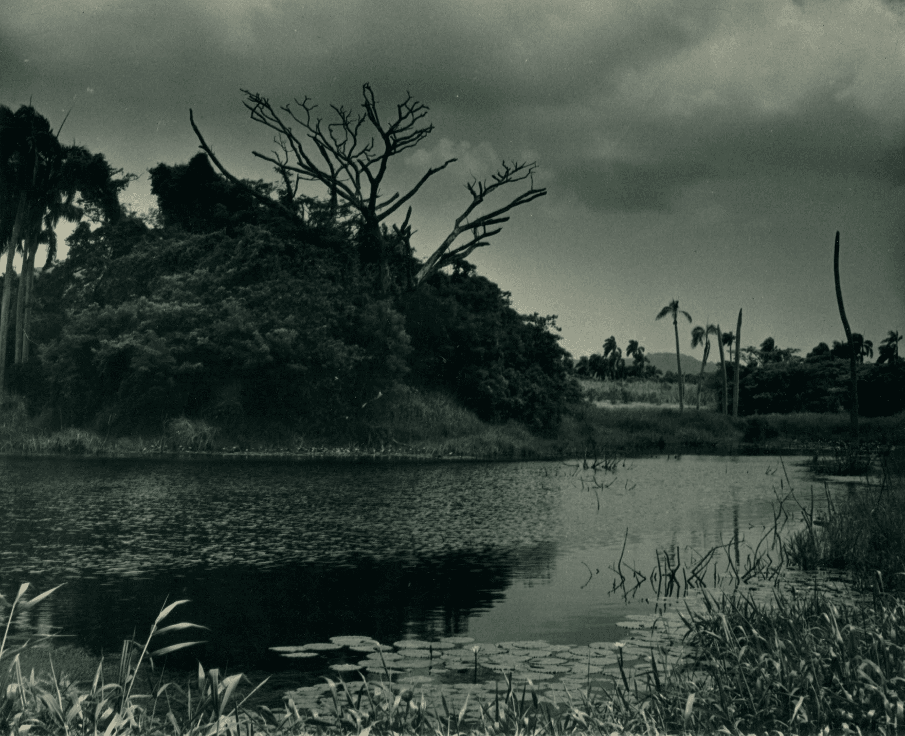 Estate Castle Burke would have consisted of a zoo featuring the West Indies fauna, botanical gardens, a wildlife sanctuary, a game fishing pond, and picnic areas. All photos were taken in the late 1960s early 1970 in the middle of the island. (Photo courtesy Olasee Davis)
