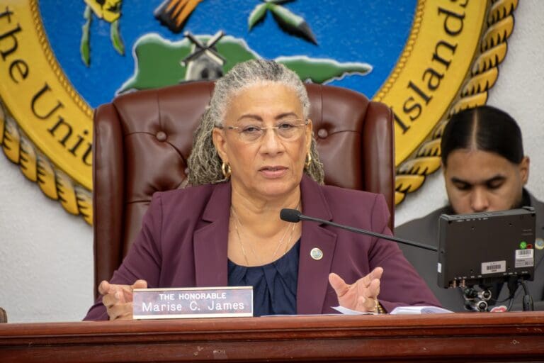 Meet the Candidates | Marise C. James
