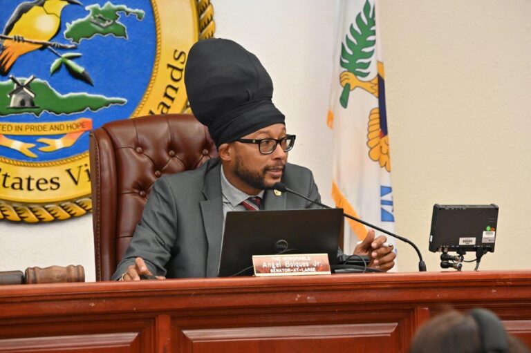 Economic Development and Agriculture Committee Labors Through Non-Productive Hearings