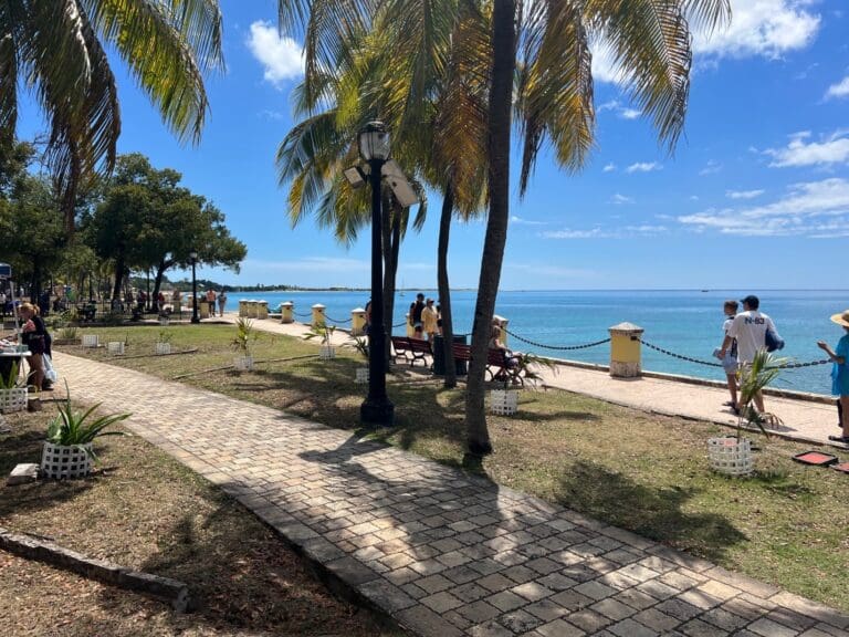 Open forum: From Neglect to Prosperity: A Guide to Frederiksted’s Waterfront Revitalization