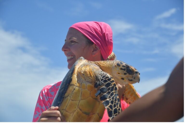 St. John Hawksbill Conservation Study – Year Two