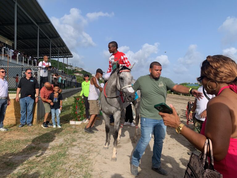 Fans Flock to New Racetrack for Independence Day Races