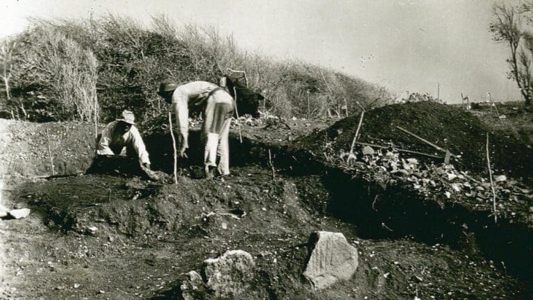 Archaeo Café: ‘Digging Deeper, Together’ Launches on St. Croix