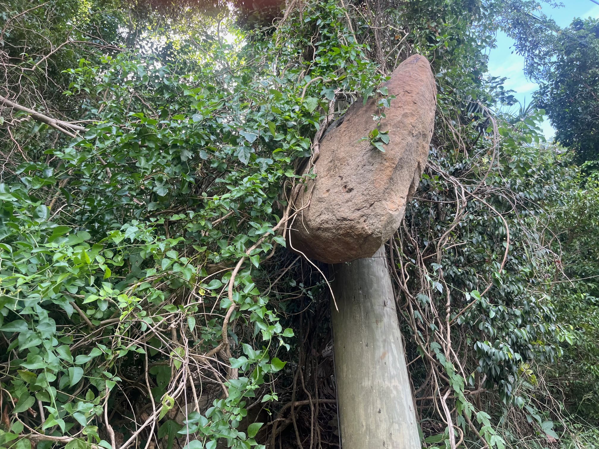 A sharp-eyed Source reader spotted this “gravity anomaly” along Hull Bay Road on St. Thomas recently. (Submitted photo)