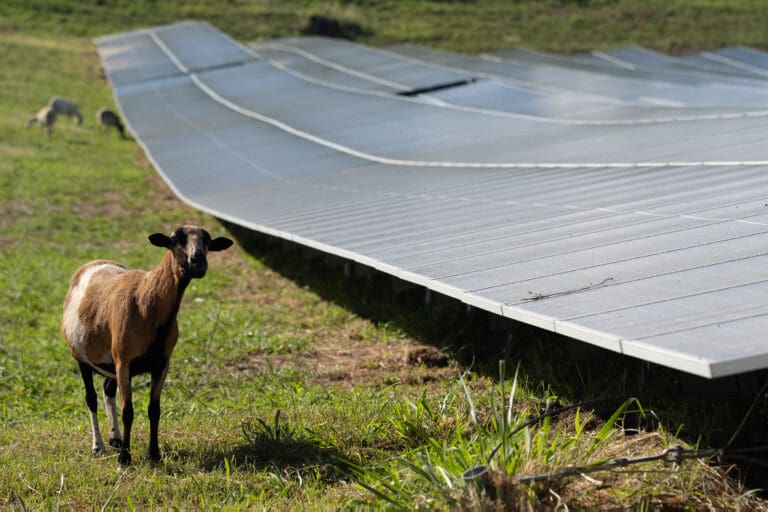 Bryan Sends Legislation to Expedite Solar Farm Permits on St. Thomas