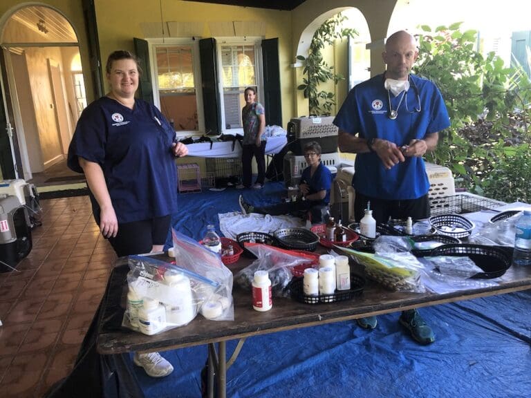 St. Croix Animal Welfare Center and Visiting Vets to Spay/Neuter Hundreds of Dogs and Cats