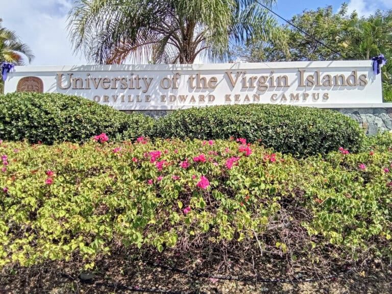 Building USVI Futures Through Home Summer Fellowships
