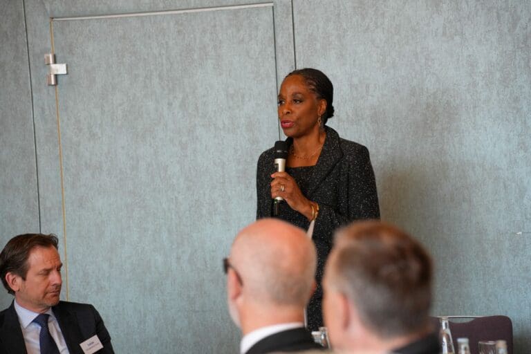 Plaskett-Potter Campaign Urges WAPA Fixes