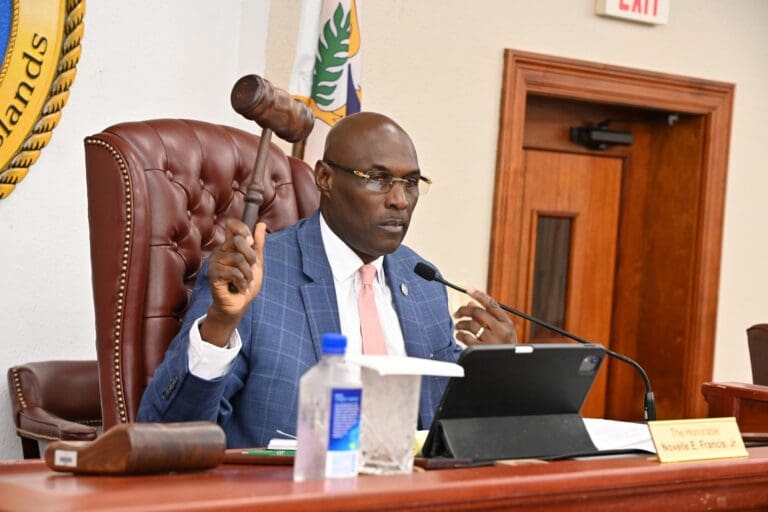 Judiciary, UVI Cite Budget Gaps and Delayed Funds in Senate Hearings