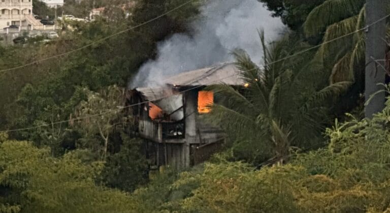 Residents Escape Unharmed as Fire Destroys Estate Mariendahl House