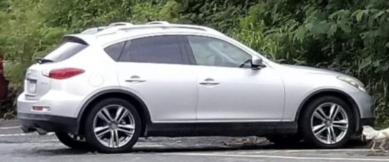 Armed Robbery and Carjacking Reported Near Drake’s Seat