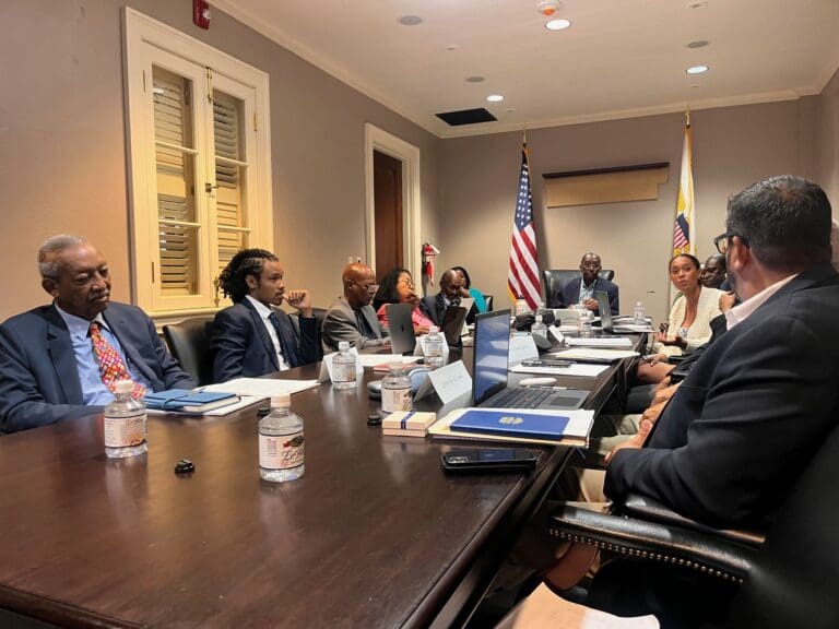 Sixth Constitutional Convention Committee Examines Voting Systems