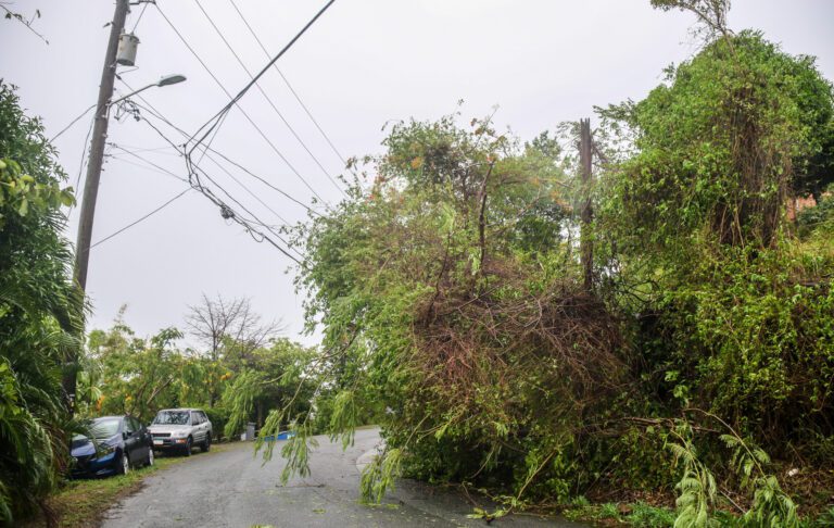 WAPA Crews Battle Downed Transmission Line, Vegetation During Erin Outages
