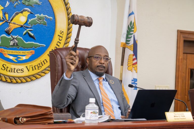 Senate Backs Subsea Link to Florida and Puerto Rico, Moves Appointment and Zoning Bills  